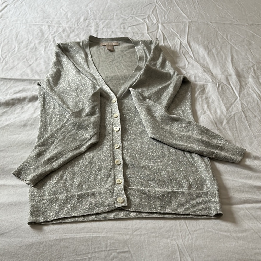 Banana Republic Silver Sweater